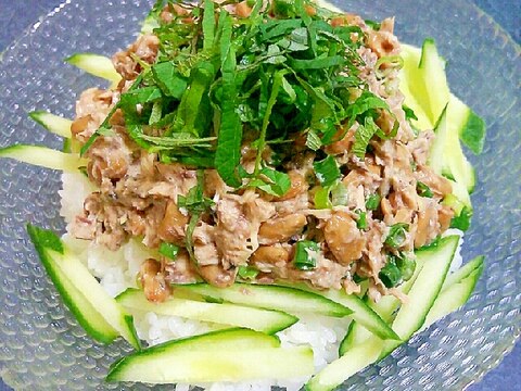 サバ缶でさっぱりサバ納豆丼